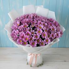 Букет цветов из:  Хризантемы в Дагестанских огнях