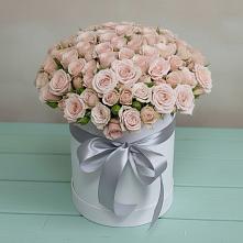 Цветочная композиция из Розы в шляпной коробке #REPLACE_PRED# Дагестанских огнях