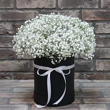 Цветочная композиция из Гипсофила в шляпной коробке в Дагестанских огнях